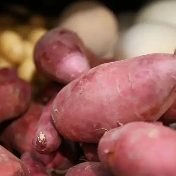 Organic Yams
