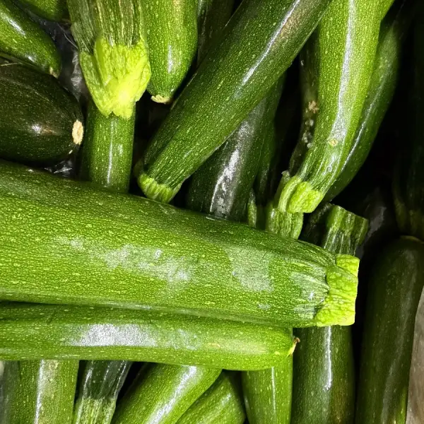 Fresh Zucchini From Mighty Food Farm
